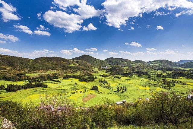 长路漫漫其修远兮吾将上下而求索什么意思（成语解读独立自主路漫漫其修远兮）