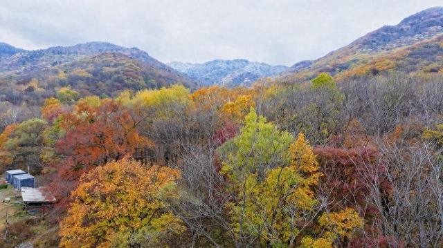 吉林初雪至，五花山换素装