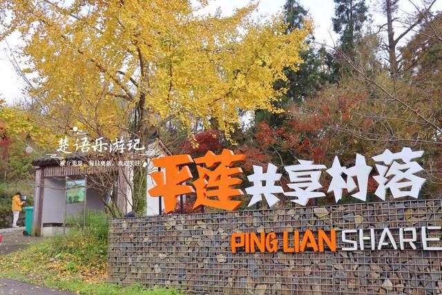 宁波四明山发现一个幽静山村，村口就是红枫银杏胜境，村内更好玩