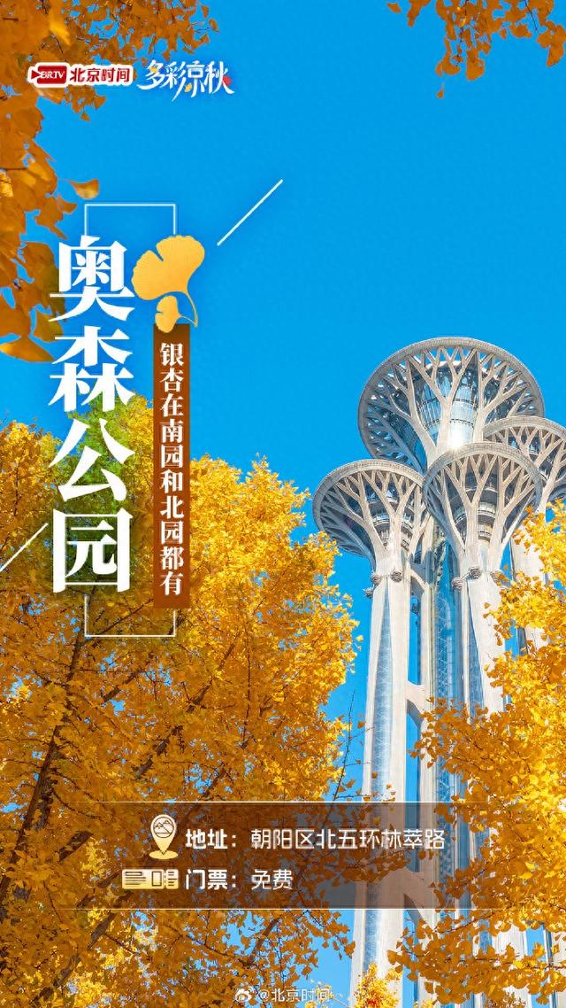 北京十大赏银杏好去处，这三处免费，您都去过吗？