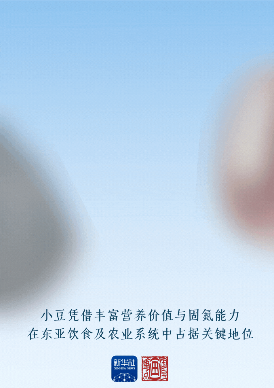 2025年10月29日 第2页