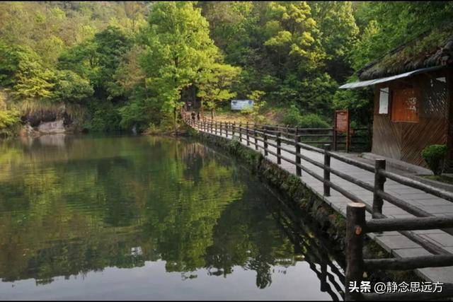 作为一个河南人，去了趟浙江丽水，有三个疑问不明白，忍不住问下