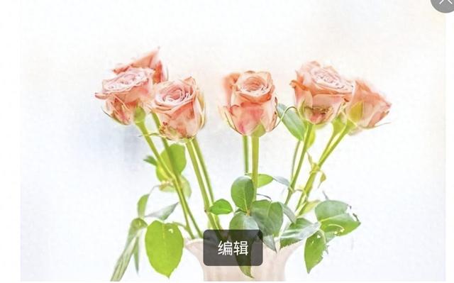 相遇一场，思念一生，入了心的你	，怎能轻易忘记？