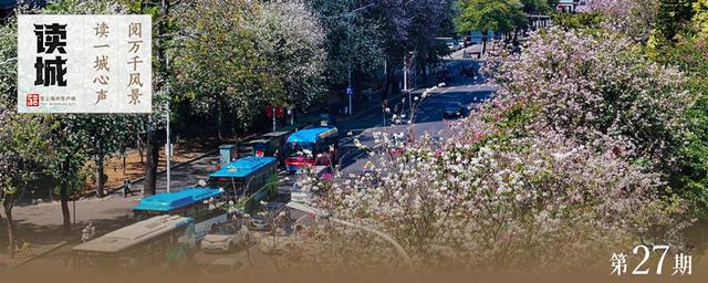 读城｜工业路上羊蹄甲 花开花落近“不惑”