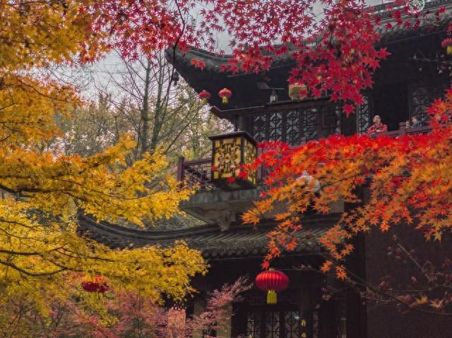 栖霞山强烈预警：赶在降温前快来打卡，红枫最佳观赏期别错过！
