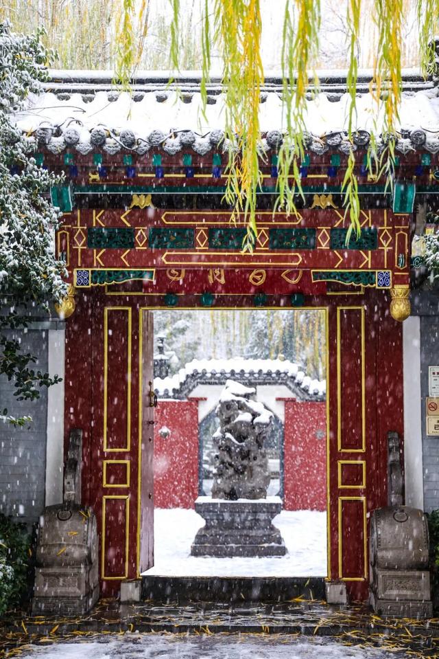 一封来自济南冬天的邀请函（上）