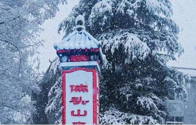 偏头山初雪如画 游客沉浸式赏冬韵