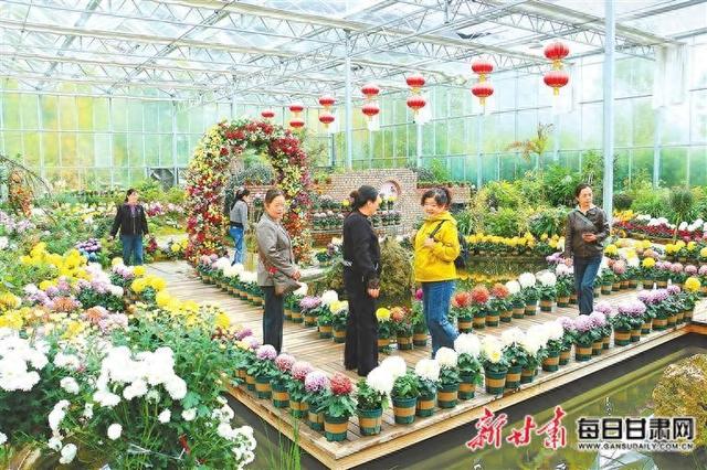 【图片新闻】漳县贵清山植物园菊花竞相绽放 吸引游客前来赏花拍照