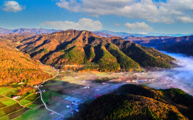 寻美兴山：又见榛子红