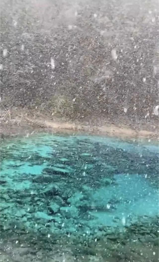 九寨沟、黄龙下雪了！四川开启“速冻模式”