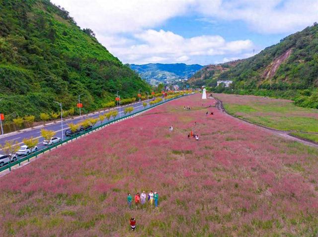 国庆打卡新去处！竹山激活乡村 “粉色经济”