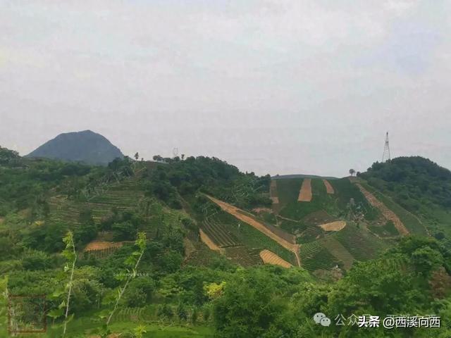 浙江爬山打野必须收藏的100多条一级古道名录大全