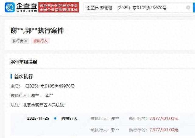 “嘎子”谢孟伟夫妇再被执行797万，此前曾被执行超1400万