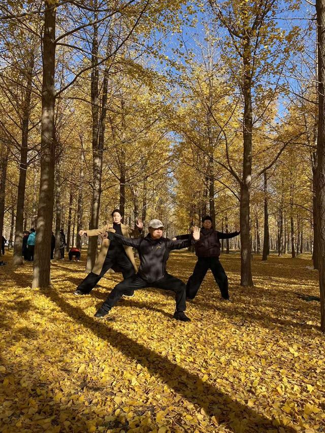 乙巳孟冬鹿泉银杏林及龙泉湖湿地公园（两首）