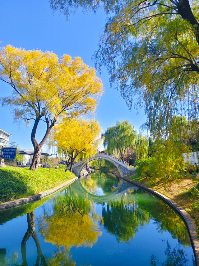 太美了！漫步南长河，邂逅满途风光