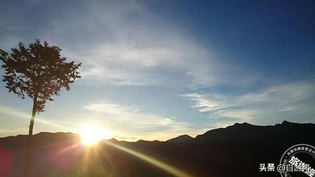 阿里山迎曙光，搭观日列车 送日落、迎曙光、赏美景，胜地一次看