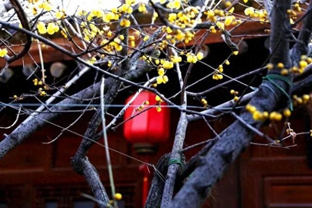 晴好+升温！<p style=