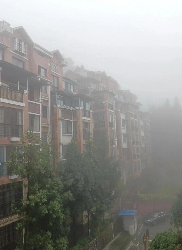 对苏马荡避暑生活有始有终，才让她们嗅到机会，能捡大瓜