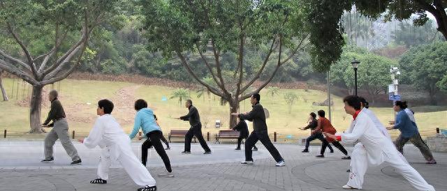 杨氏太极拳有多少式？24、40、85式，该选哪套练}