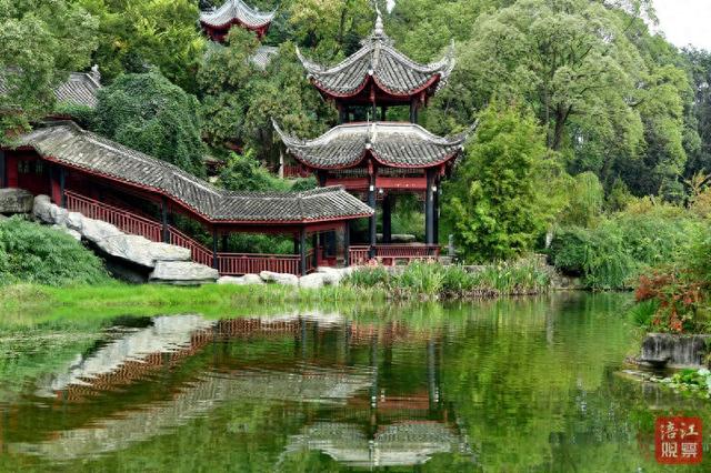 一“叶”知冬来！漫步仿古园林，解锁初冬浪漫