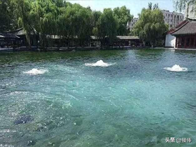 李传尧：晨游百脉泉