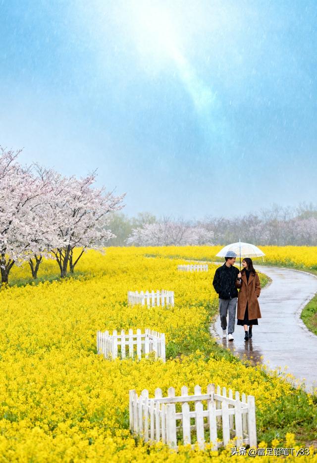 雨丝轻织，花海簇拥，携手漫步小径，浪漫在湿香中流淌！