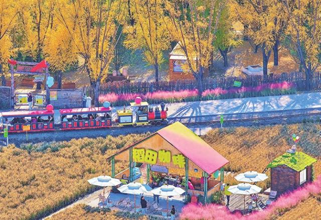 稻田里的童话王国