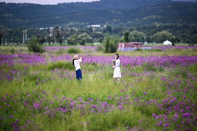 敕勒川草原引客来