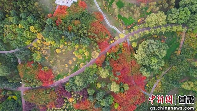 武威天马湖畔 赏一季鎏金 品岁月安然