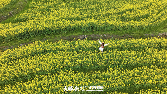 镇远：千亩油菜花开正艳 邀您共赴春日之约