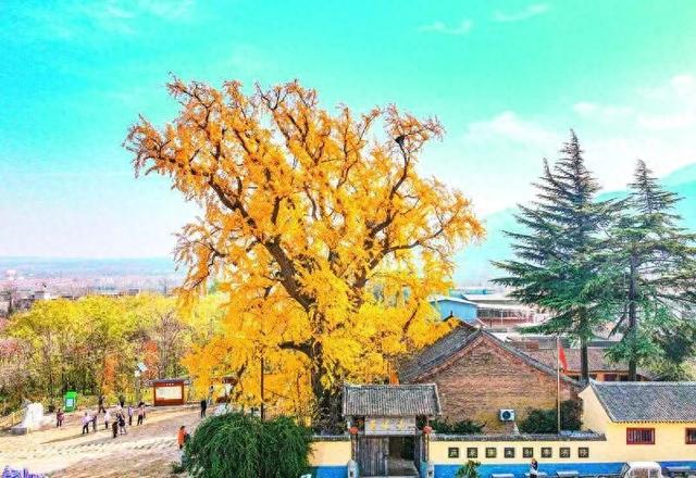 12月6日《西安日报》速览