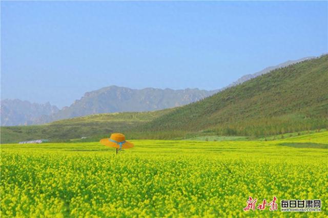 寻韵田园 共赏民乐 | 以扁都口为引领 全域旅游发展正盛