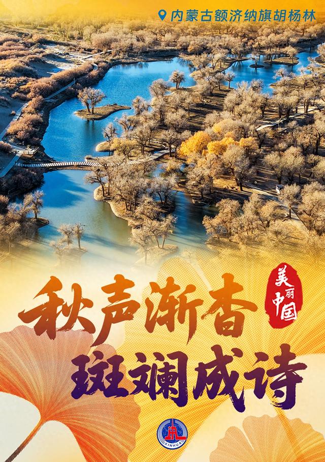 （图表·海报）美丽中国丨秋声渐杳 斑斓成诗（6）