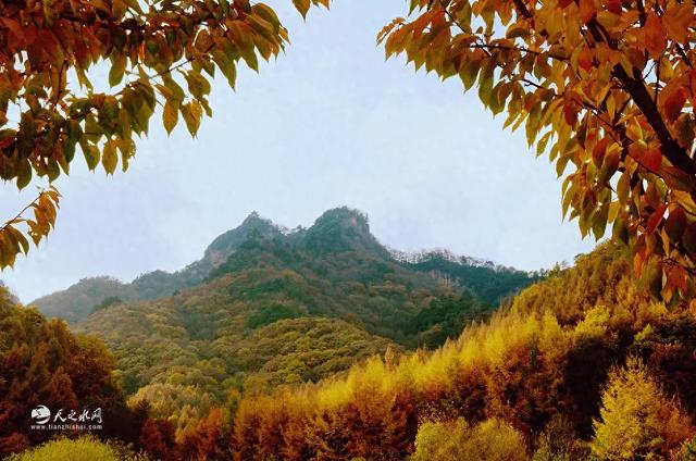 秋染天水白音山双乳峰：一幅大自然馈赠的立体画卷