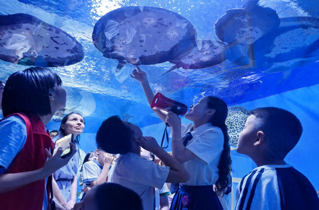 探秘深海智慧 点燃科学梦想——赛马场街道暑期研学游走进乌鲁木齐市海洋馆