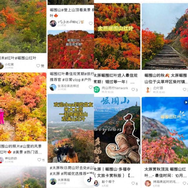 别再刷崛围山红叶图了！亲自去触摸红林间的千年时光，才够劲