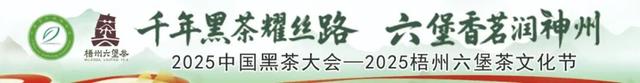 沸腾了一城茶香！“六开”系列活动在苍梧县六堡镇热闹开启