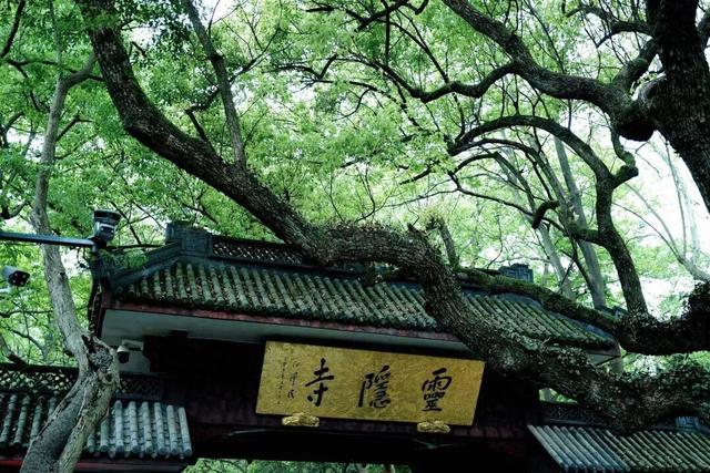 高铁1.5h！这座人少好玩无敌好吃的浙江名城，也免门票啦