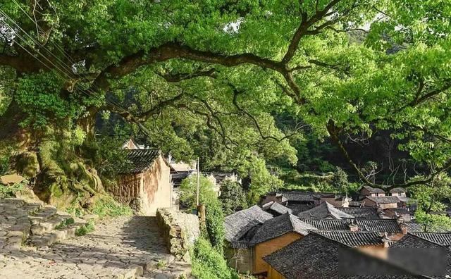 浙江深山藏古村，游客稀少却守着秘密，拒绝开发为何难？