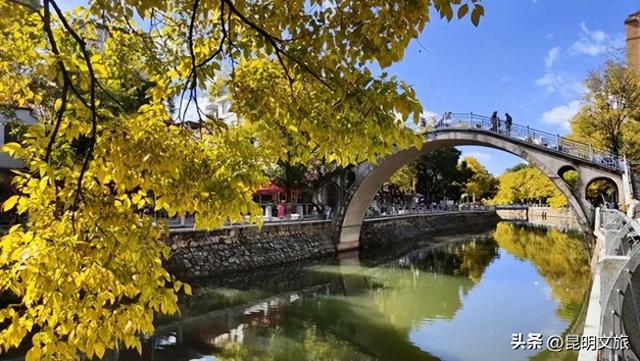 全屏“封神”！这可是昆明初冬的超绝顶流！保姆级攻略来袭，趁天晴立马冲！