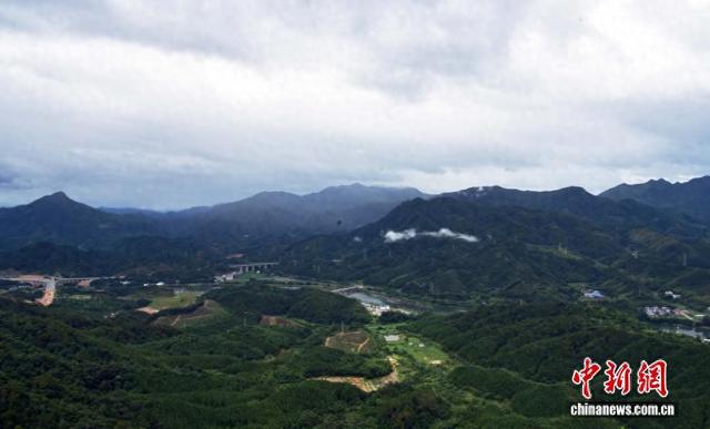 雨后武夷南麓宛如青绿水墨画