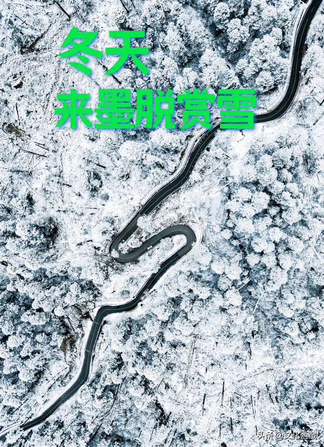 西藏下雪啦！是时候闯入扎墨公路的冬日仙境了！