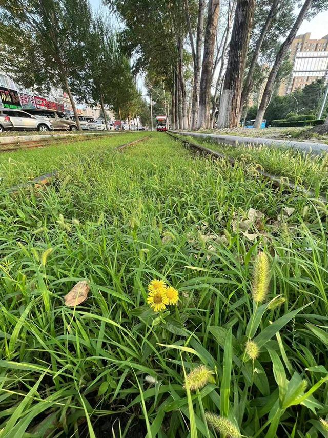 徒步长春54路有轨电车路线