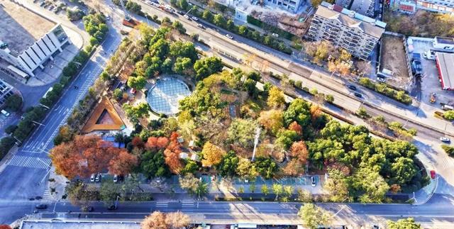 硚口区“就地取材”激活小微空间 育苗基地变身“森系”游园 市中心就能畅快体验：森林溯溪 + 露营 + RC越野
