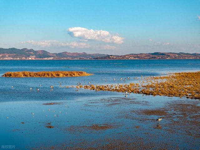 不是贵阳，不是遵义，真正让人来了不想走的贵州避暑小城被忽视了