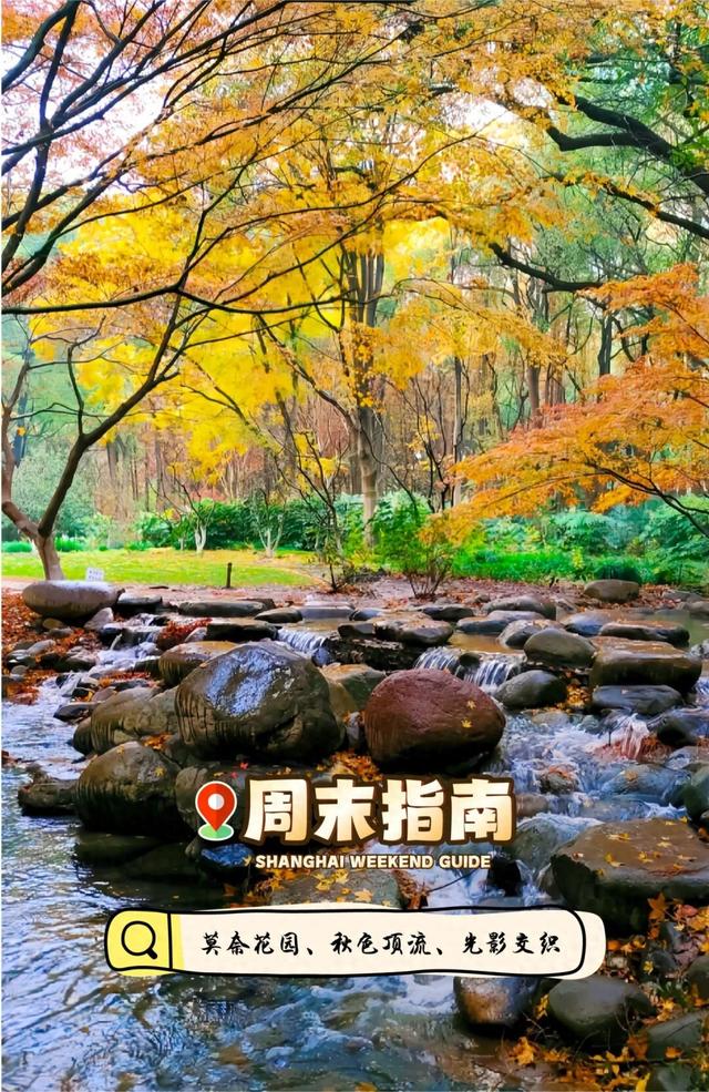 魔都顶流公园免费逛！“莫奈花园”秋色上新→