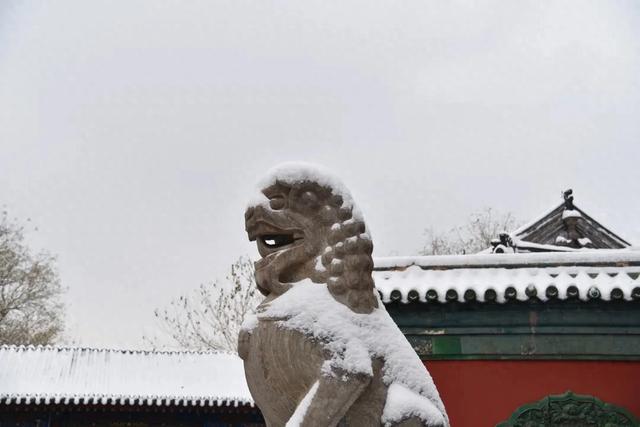 收好这份石家庄“雪景打卡地图”！走起→