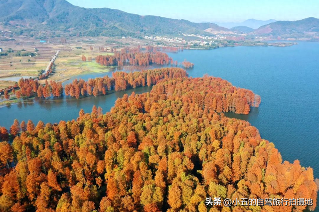 宁波四明山红叶指南：红枫隧道到星空露营，人均300吃遍山间美味