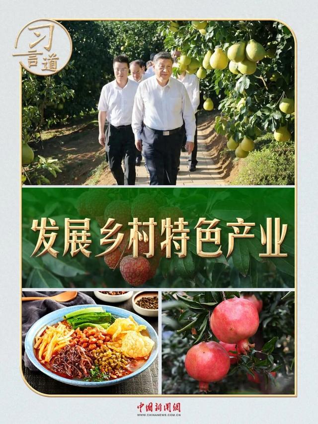 习言道｜从荔枝园到柚子园，习近平不变的牵挂