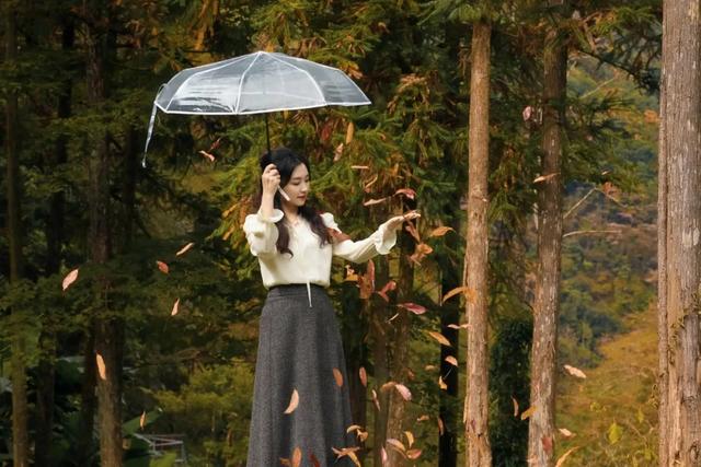 打工人的解压密码!在神农谷森林浴场,找回满格快乐